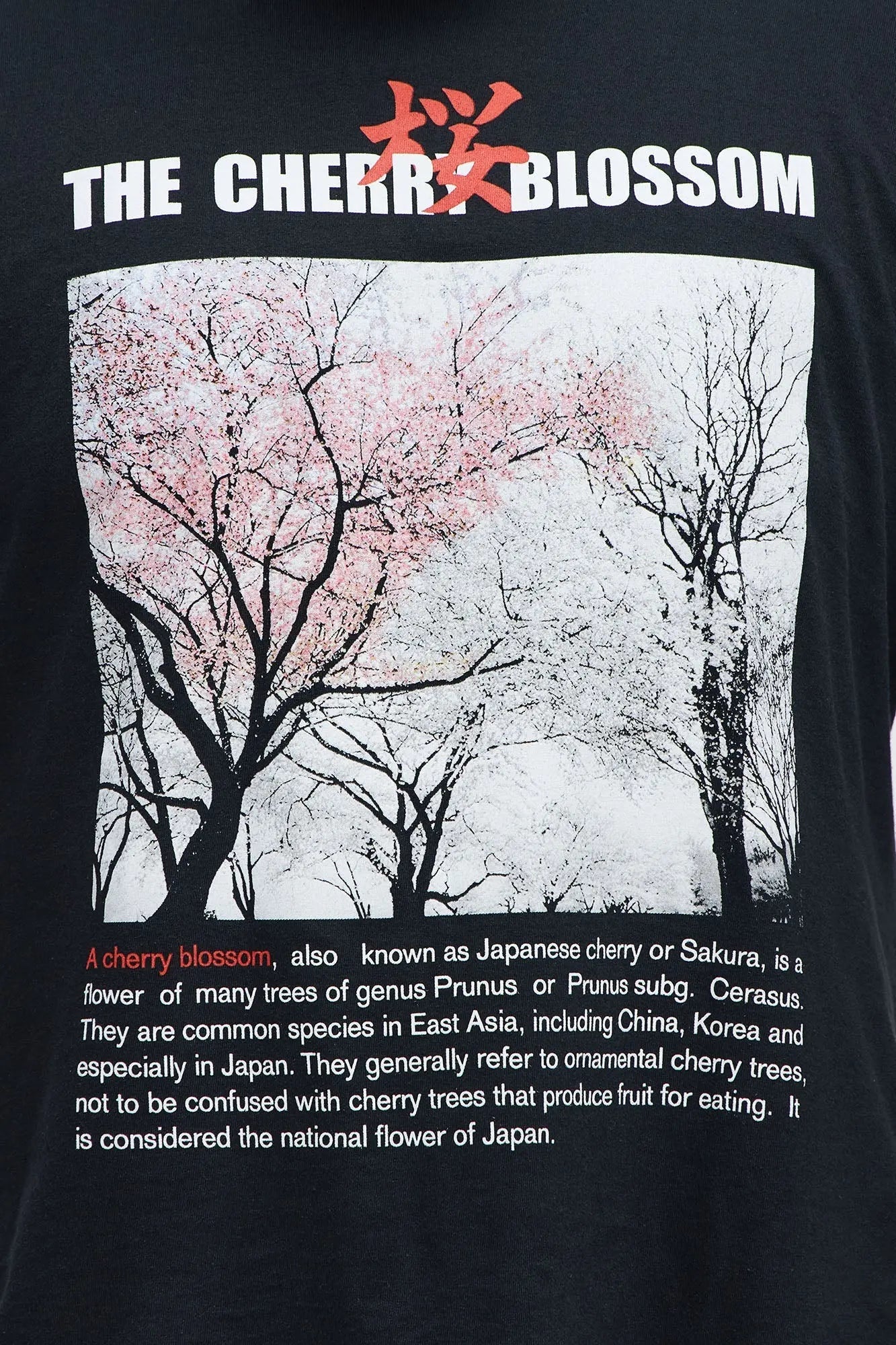 The Cherry Blossom Short Sleeve Tee - Black