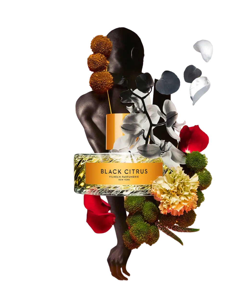 Black Citrus