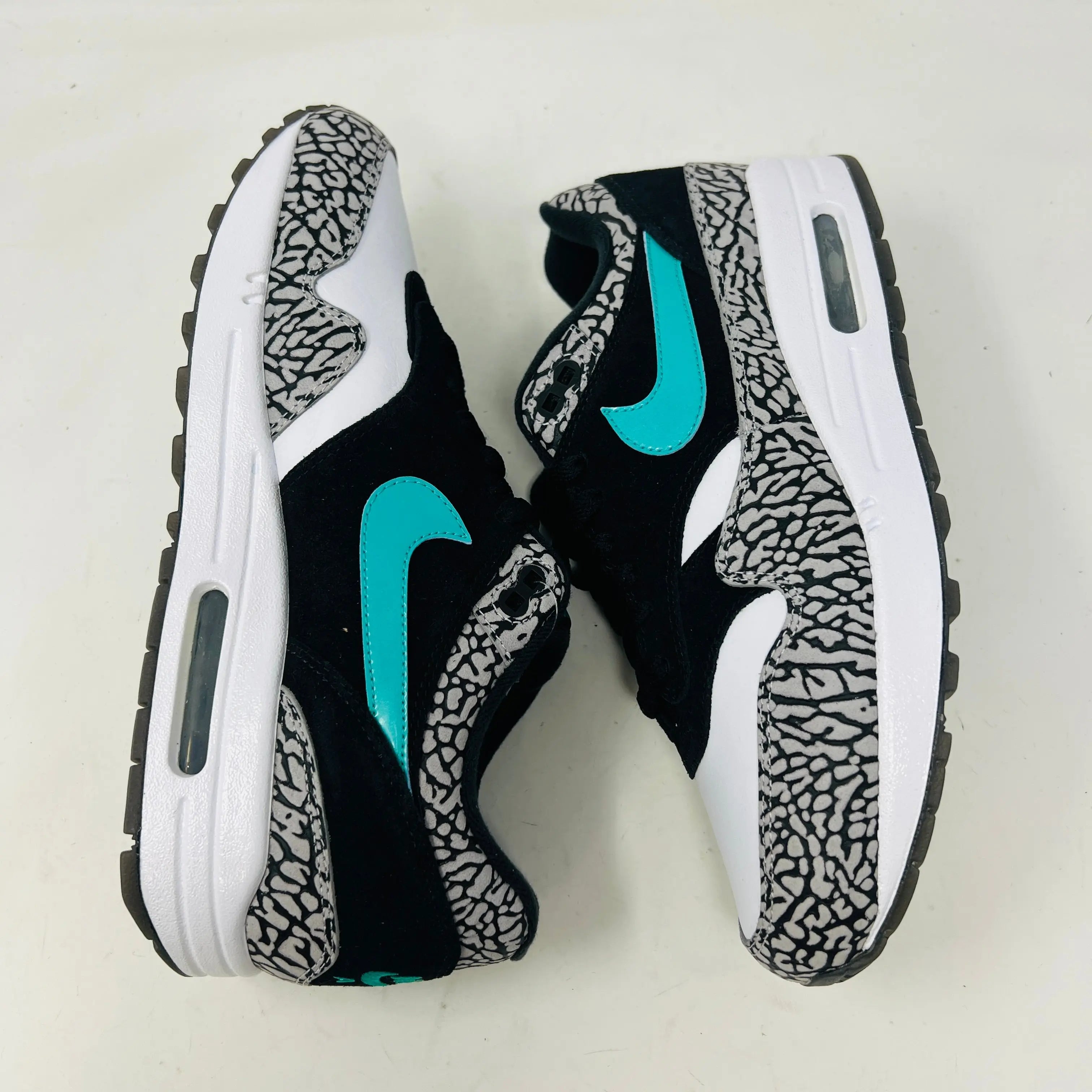 Nike Air Max 1 atmos x Jordan