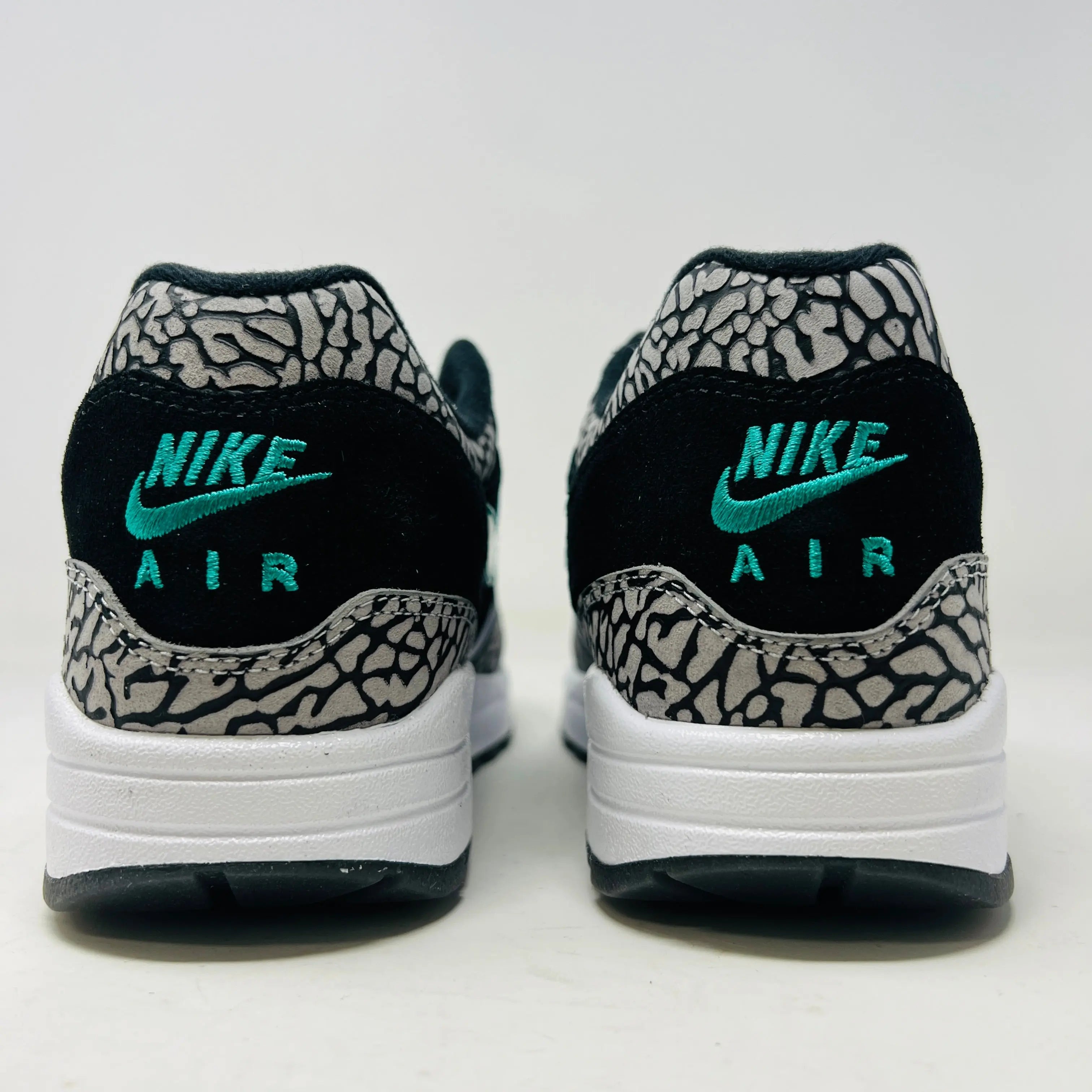 Nike Air Max 1 atmos x Jordan