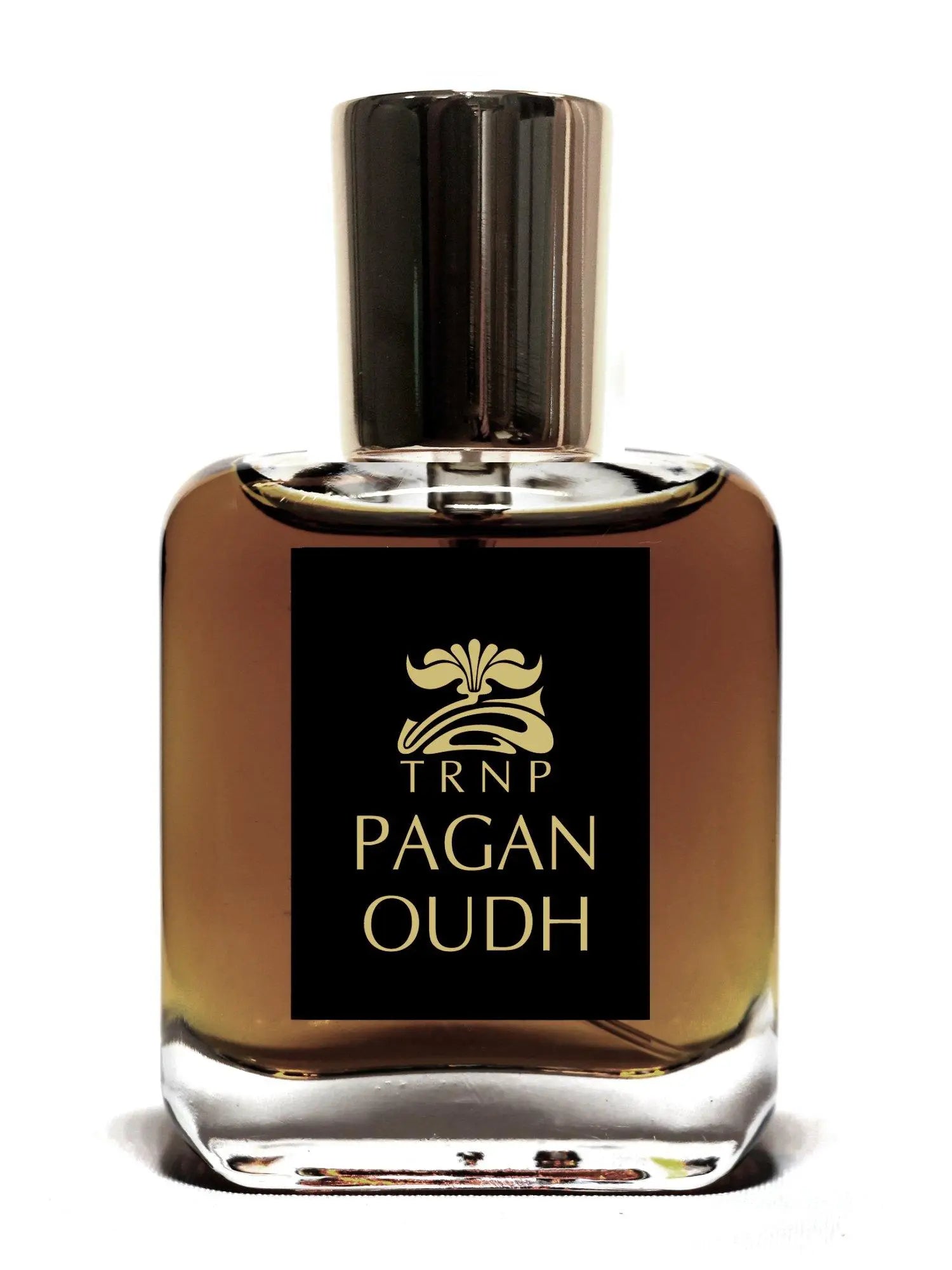 Pagan Oudh
