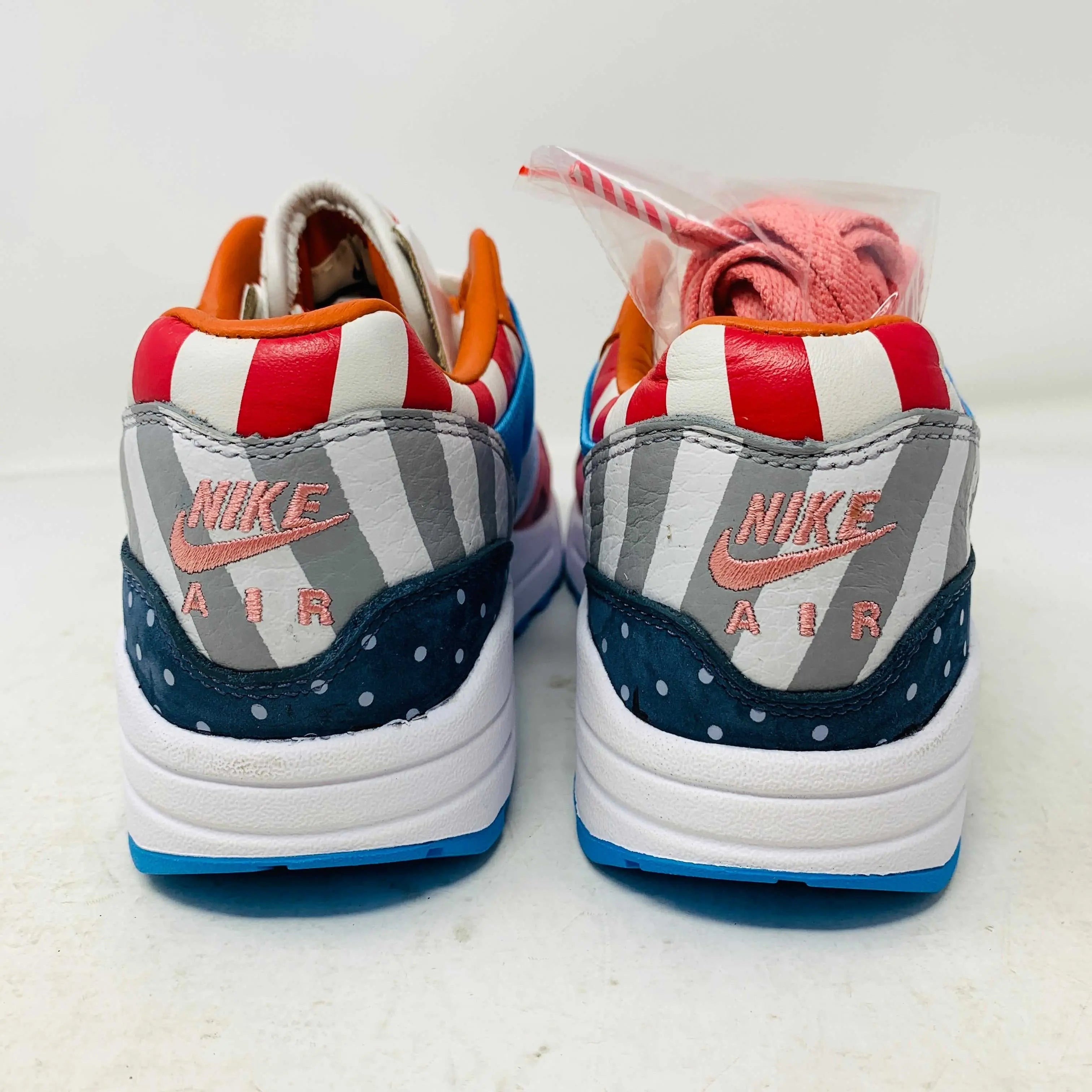 Nike Air Max 1 Parra (2018) (Friends and Family)