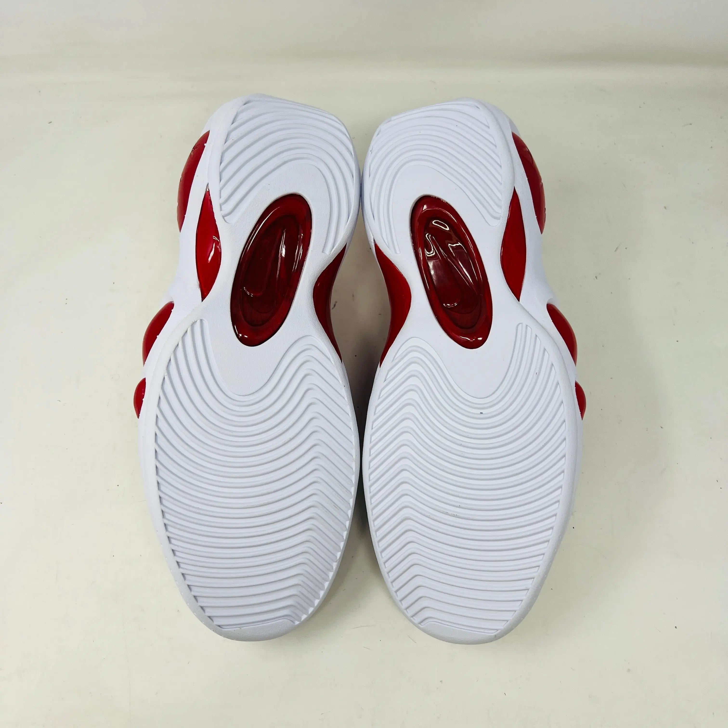Nike Air Zoom Flight 95 True Red