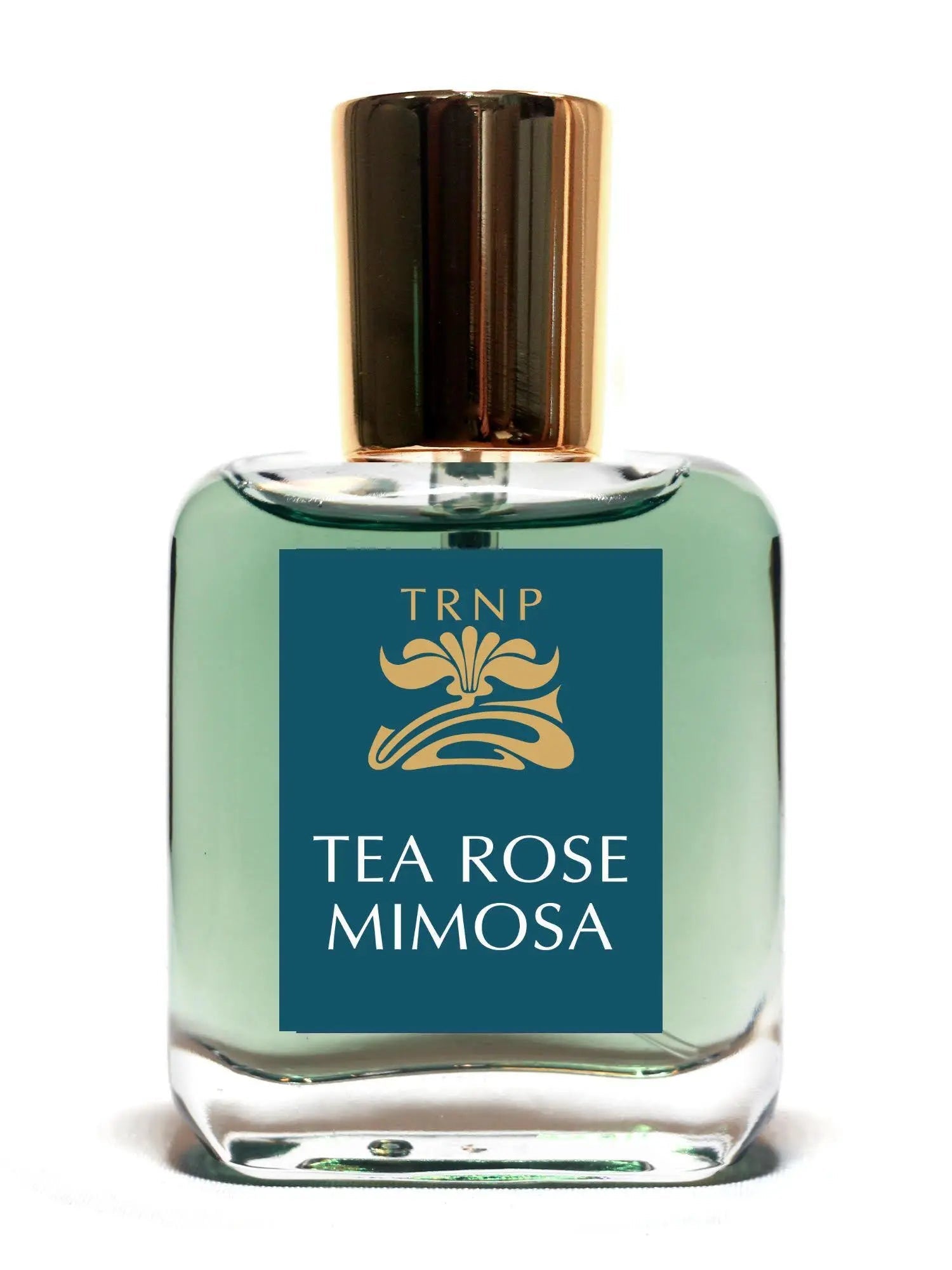 Tea Rose Mimosa